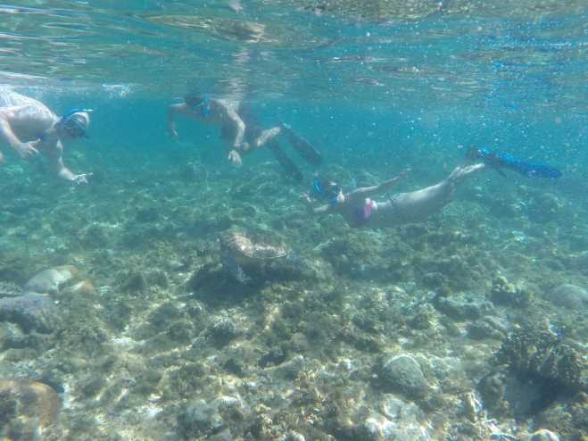 Apo Island - 13