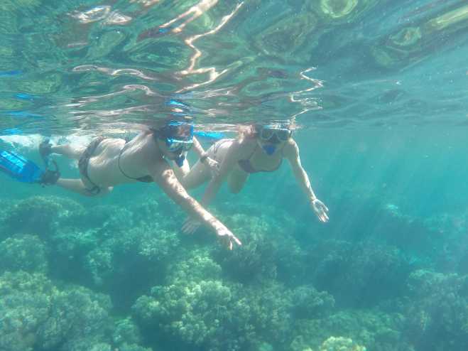 Apo Island - 5