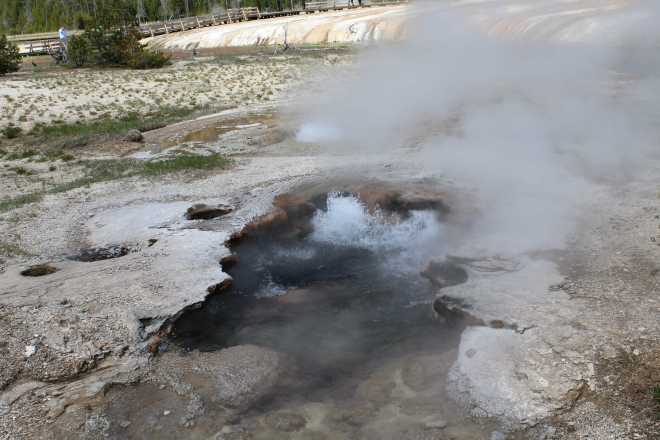 Yellowstone - 10