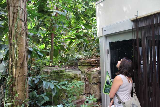 Montreal, Biodome - 1