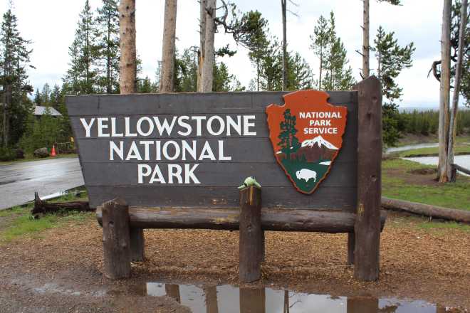 Yellowstone - 1