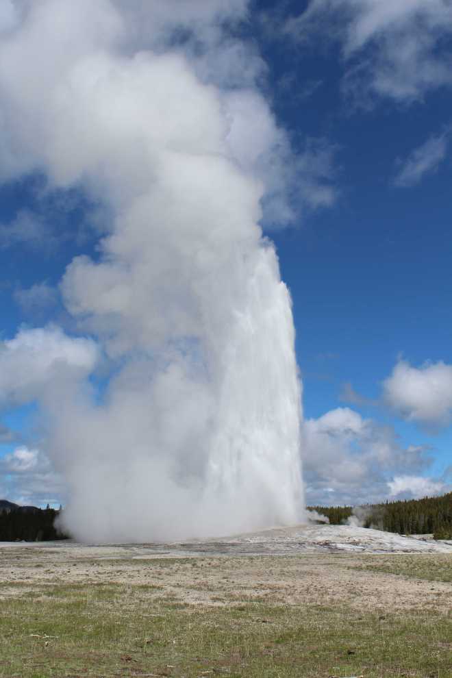 Yellowstone - 8