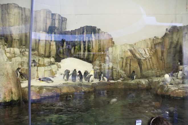 Montreal, Biodome - 8