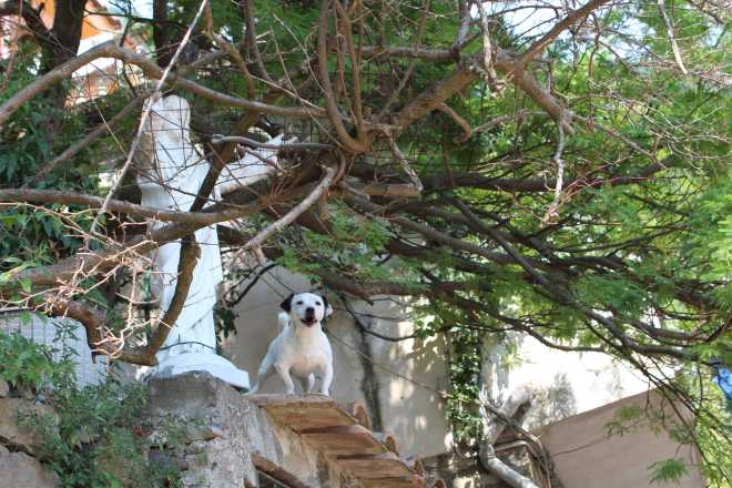 Amalfi Coast, Path of the Gods - 23