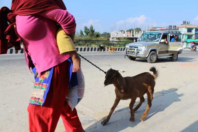 Kathmandu Trek 4 - 2