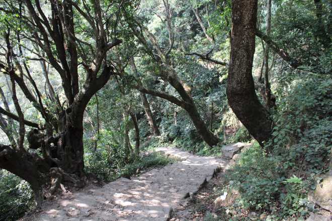 Kathmandu Trek 1 - 3