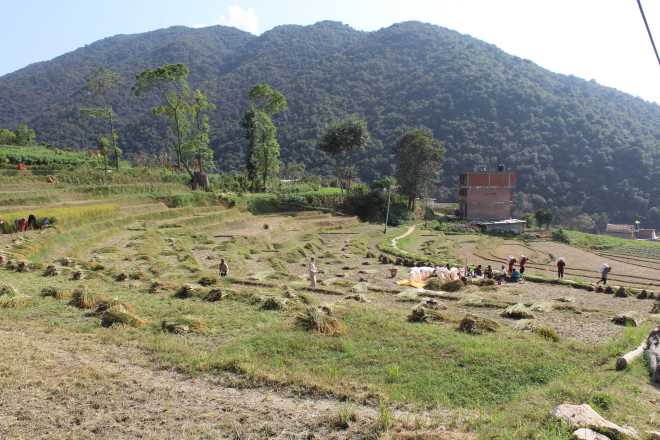 Kathmandu Trek 3 - 8