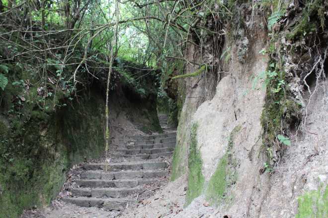 Kathmandu Trek 1 - 9