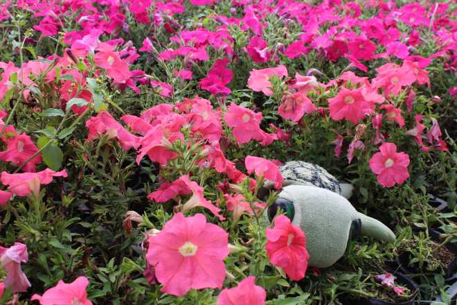 Taiwan 1, Taichung - 16