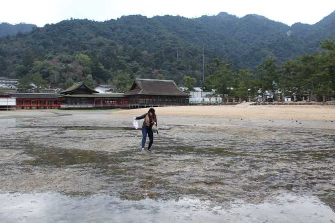 Itsukushima - 18