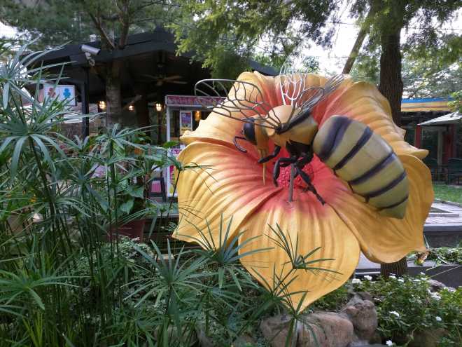 Taiwan 1, Nantou - 28