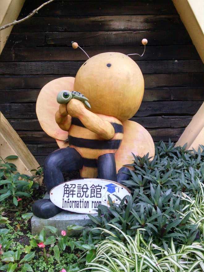 Taiwan 1, Nantou - 29