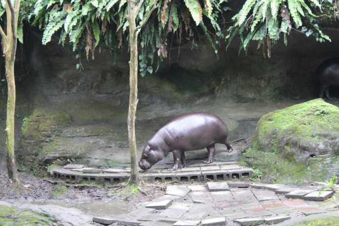 Taiwan 2, Taipei - 37