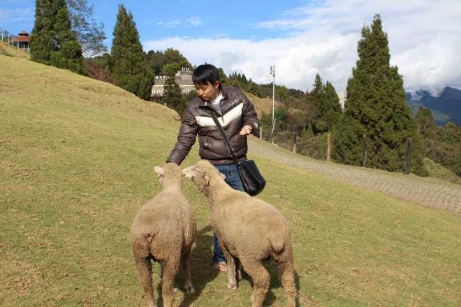 Taiwan 1, Nantou - 45