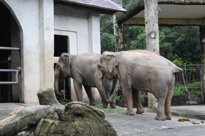 Taiwan 2, Taipei - 45