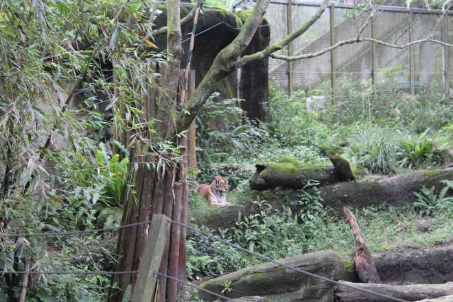 Taiwan 2, Taipei - 48