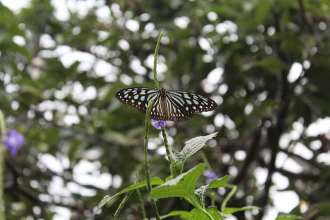 Taiwan 2, Taipei - 53