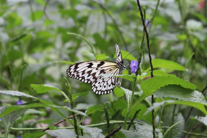 Taiwan 2, Taipei - 54