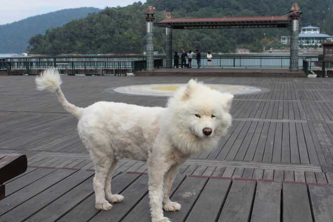 Taiwan 1, Nantou - 57