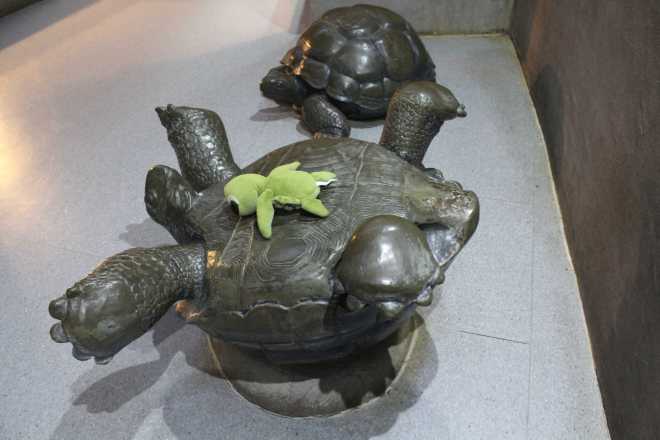 Taiwan 2, Taipei - 59