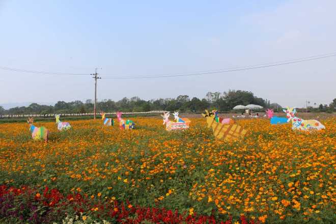 Taiwan 1, Taichung - 9