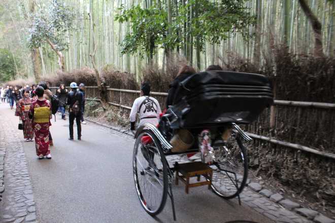 Kyoto, Part 2, Bamboo Forest - 11