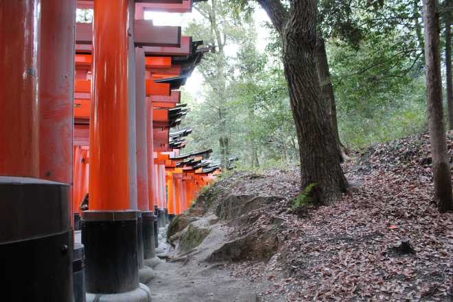 Kyoto, Part 2, Fushimi-inari tashi - 13