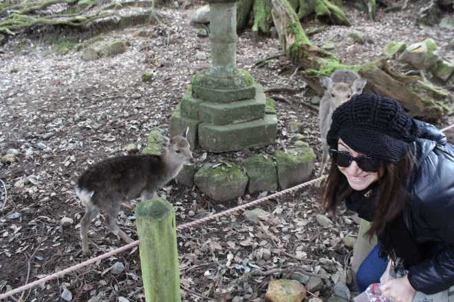 Kyoto, Part 2, Nara - 13