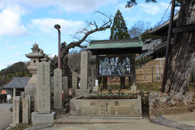 Kyoto, Part 2, Nara - 14