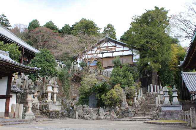 Kyoto, Part 2, Nara - 15