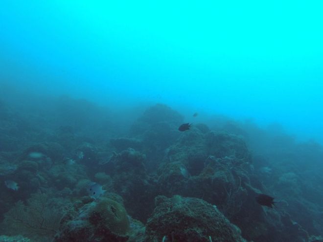 Coron, Shipwreck Diving – 3