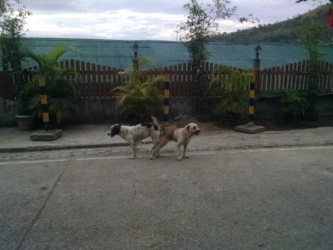 Coron, Island Hopping - 3