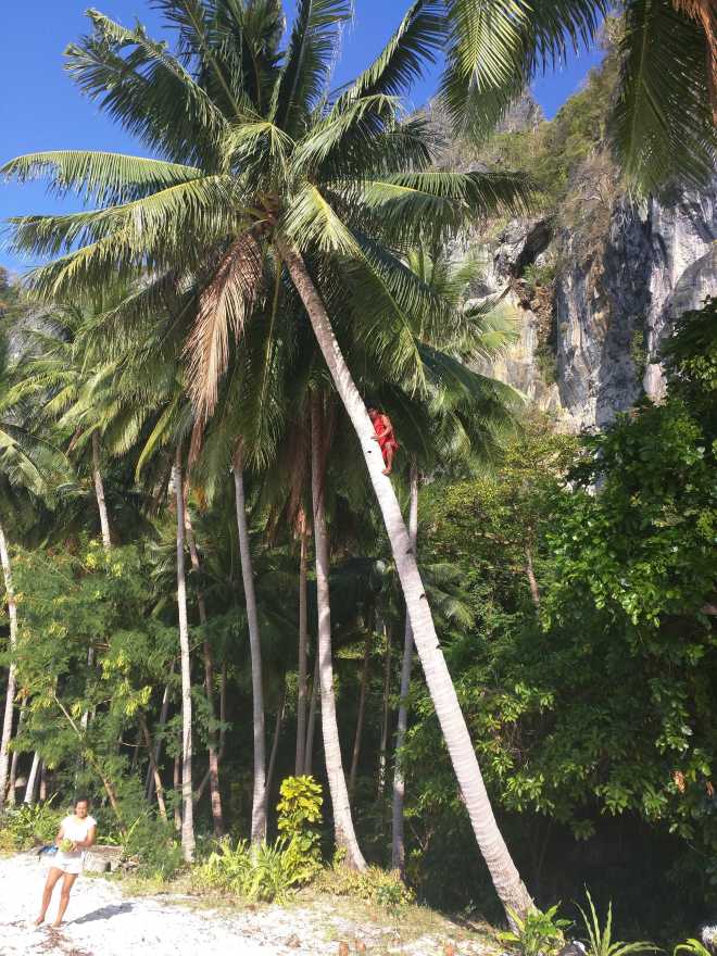 El Nido, Island Hopping - 48