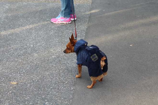 Kyoto, Part 2, Osaka - 5