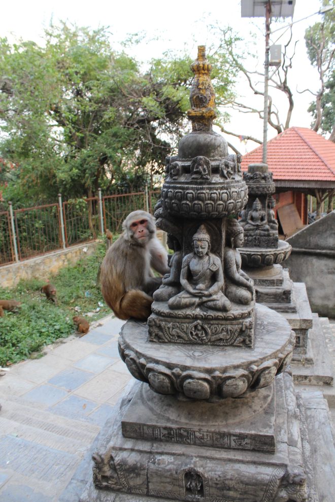 Kathmandu 1, Swayambhunath - 7