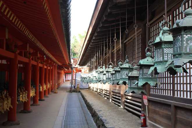 Kyoto, Part 2, Nara - 8