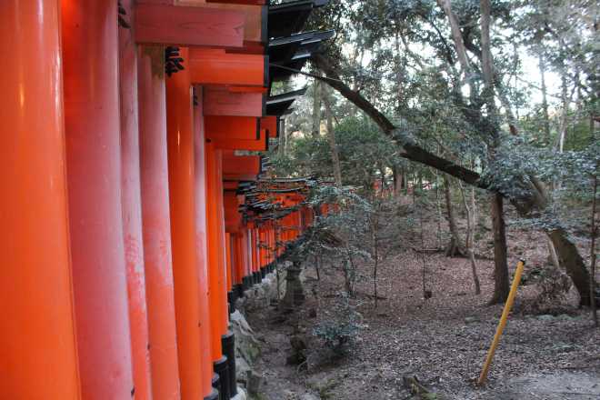 Kyoto, Part 2, Fushimi-inari tashi - 8