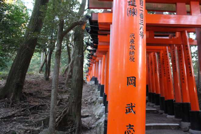 Kyoto, Part 2, Fushimi-inari tashi - 9