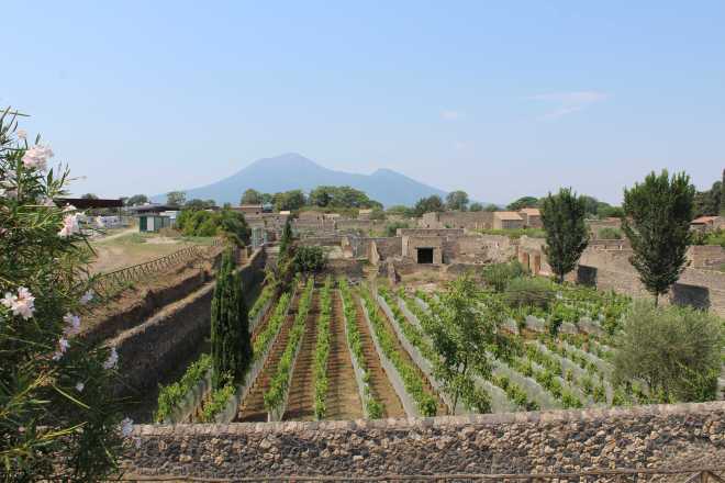 Pompeii - 12