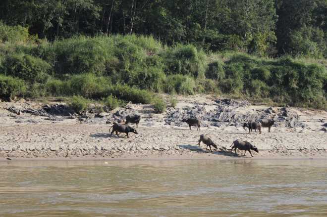 Slow Boat, Day 1 - 16