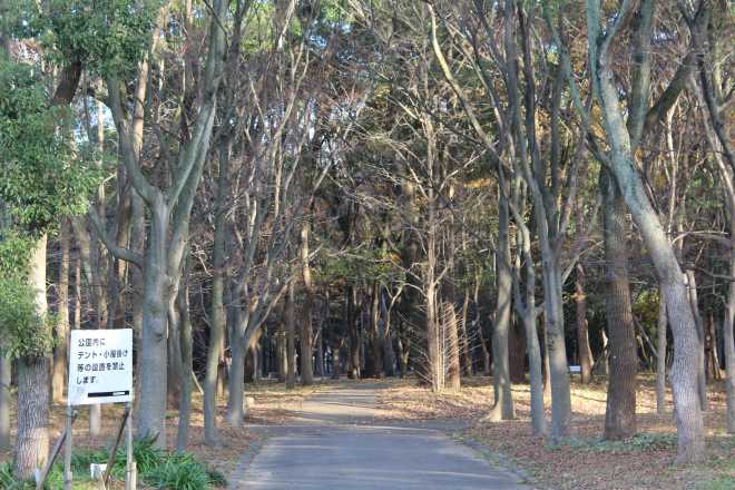 Kyoto, Part 2, Osaka - 3