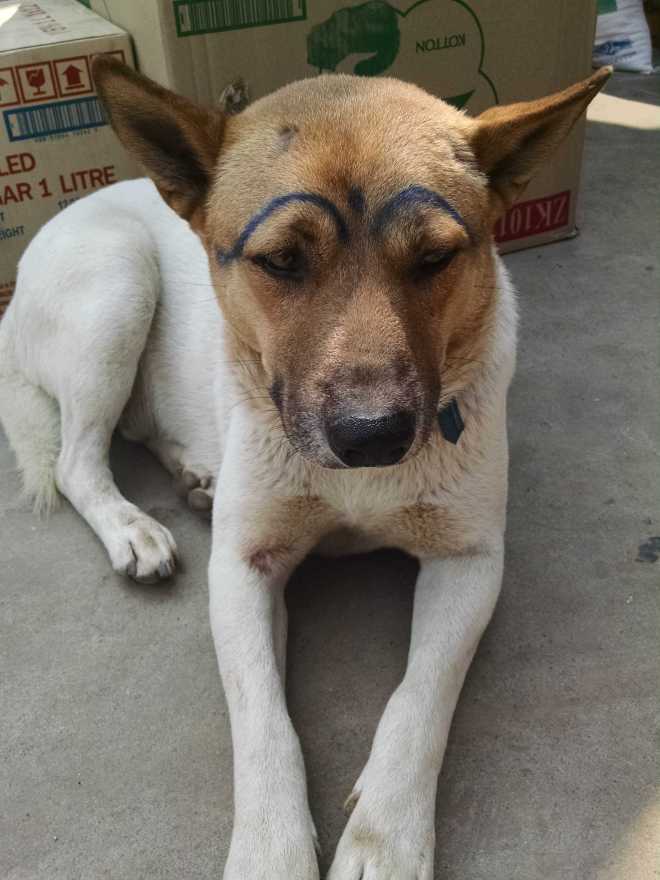 Luang Prabang, Old Town 1 - 4