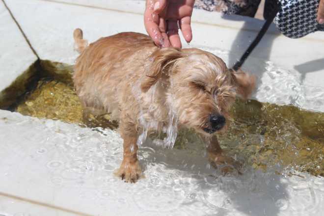 Cote D'Azur 3&4, Grasse - 4