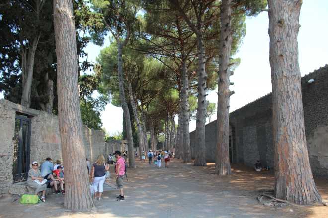 Pompeii - 7
