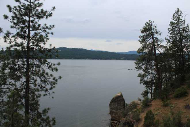 Coeur d'Alane - 2