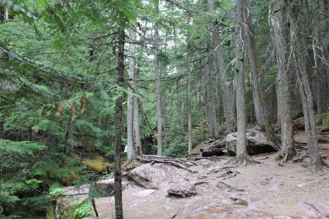 Glacier National Park - 3