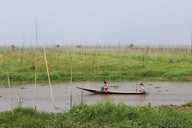 Nyaungshwe, Boat Trip - 50