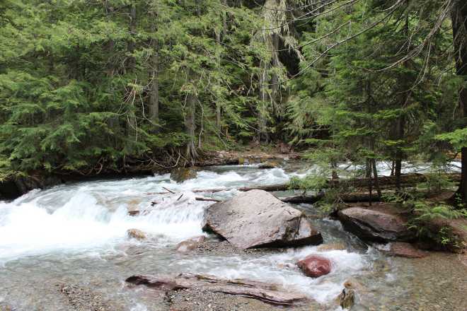 Glacier National Park - 5