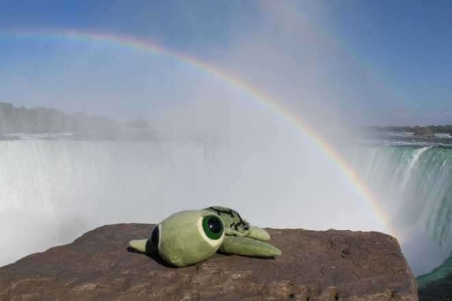 Niagara Falls, ON - 9