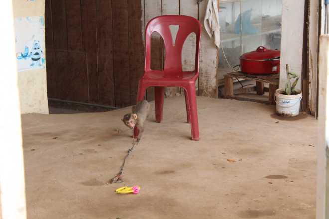 Thakhek Loop, Day 2 - 11